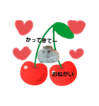プリンシルバー（個別スタンプ：16）