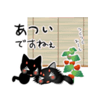 猫の日ごろ29 仲良し黒猫の秋（個別スタンプ：31）