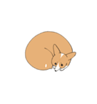 こまいのとながいの（個別スタンプ：10）