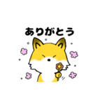 simple fox（個別スタンプ：1）