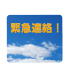 青空に浮かぶ伝言6(業務連絡に便利かも！)（個別スタンプ：12）