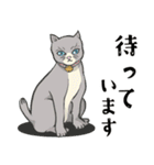 浮世絵の和猫2（個別スタンプ：18）