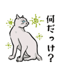 浮世絵の和猫2（個別スタンプ：24）