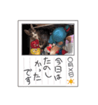 ほのぼのみなどん（個別スタンプ：6）