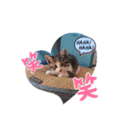 ほのぼのみなどん（個別スタンプ：8）