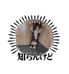 ほのぼのみなどん（個別スタンプ：12）