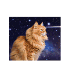 動く！宇宙の中の猫（個別スタンプ：12）