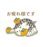 ねこにゃんとフクロウスタンプ2（個別スタンプ：2）