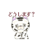 ねこにゃんとフクロウスタンプ2（個別スタンプ：17）