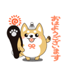 柴犬のLINEスタンプ バドミントン.ver（個別スタンプ：1）