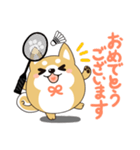 柴犬のLINEスタンプ バドミントン.ver（個別スタンプ：3）