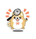 柴犬のLINEスタンプ バドミントン.ver（個別スタンプ：14）