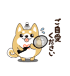 柴犬のLINEスタンプ バドミントン.ver（個別スタンプ：15）