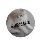 ぽっちゃんスタンプpart2（個別スタンプ：2）