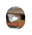 ぽっちゃんスタンプpart2（個別スタンプ：4）