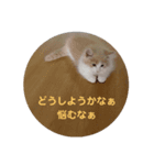 ぽっちゃんスタンプpart2（個別スタンプ：7）