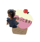 ANO stamp2.*（個別スタンプ：24）