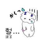 白い犬の使える韓国語（個別スタンプ：13）