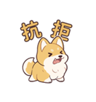 天才柴犬（個別スタンプ：29）