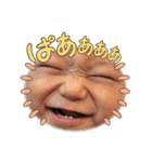とっちゃん坊や。ぱーとつーです。（個別スタンプ：17）