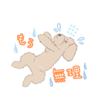 犬の日常 ～トイプードル・マルチーズ～（個別スタンプ：5）