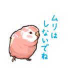 毎日頑張るアキクサインコリアル調スタンプ（個別スタンプ：27）