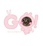 猫のローズちゃん②（個別スタンプ：7）