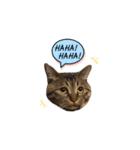 猫のローズちゃん②（個別スタンプ：19）