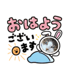 チャッピーと猫友たち（個別スタンプ：4）