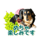 ダックスLoveちゃん48秋のデカ文字編（個別スタンプ：21）