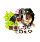 ダックスLoveちゃん48秋のデカ文字編（個別スタンプ：27）