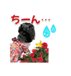 ダックスLoveちゃん48秋のデカ文字編（個別スタンプ：30）