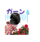 ダックスLoveちゃん48秋のデカ文字編（個別スタンプ：31）
