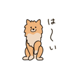 うちの家には犬がいる（個別スタンプ：1）