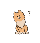うちの家には犬がいる（個別スタンプ：2）