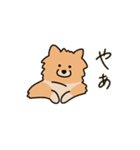 うちの家には犬がいる（個別スタンプ：3）
