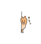 うちの家には犬がいる（個別スタンプ：8）