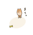 うちの家には犬がいる（個別スタンプ：11）