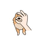 うちの家には犬がいる（個別スタンプ：17）