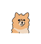 うちの家には犬がいる（個別スタンプ：20）