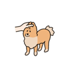 うちの家には犬がいる（個別スタンプ：22）