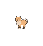 うちの家には犬がいる（個別スタンプ：23）
