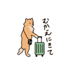 うちの家には犬がいる（個別スタンプ：25）
