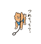 うちの家には犬がいる（個別スタンプ：27）