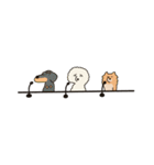 うちの家には犬がいる（個別スタンプ：40）