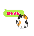 ほんわかゆるいねこスタンプ（個別スタンプ：33）