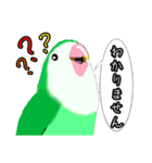 日常会話のコザクラインコさん（個別スタンプ：13）