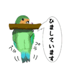 日常会話のコザクラインコさん（個別スタンプ：14）