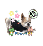 ポリムギ（個別スタンプ：24）