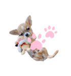 ポリムギ（個別スタンプ：27）